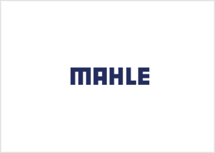 Marsh